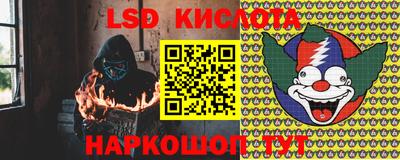 гидра Бийск