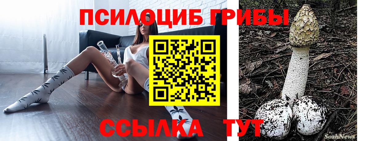 Галлюциногенные грибы MAGIC MUSHROOMS Артёмовский